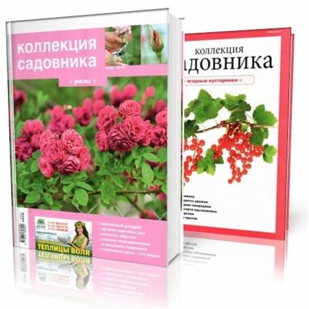   " " 2010-2011 (PDF/Djvu)