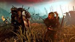  2:   / The Witcher 2: Assassins of Kings (2011/PC/RUS) + Crack