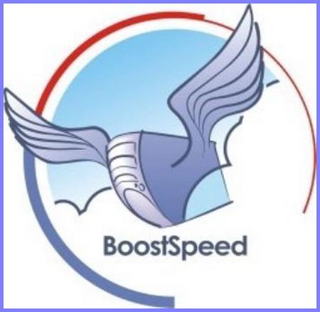 AusLogics BoostSpeed v 5.0.6.250 DC 17.05.2011 RePack ML/RUS