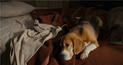 � � ��������� / I Am Number Four [2011/mp4/400x240/HDRip]