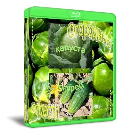 ������� � ������   (2011)  SATRip