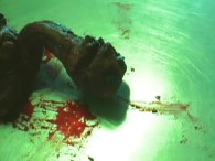 ��������� / Aquanoids (2003) DVDRip