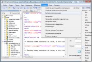 EmEditor Professional 10.0.7 (x86/x64)