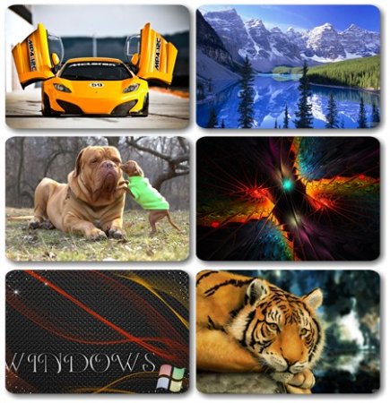 Wallpapers ������ ���� ��� �������� ����� (2011) � 144