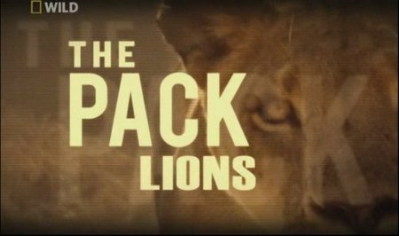 National Geographic. :  / The Pack Lions (2010/SATRip)