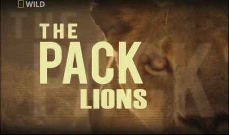 National Geographic. ����: ���� / The Pack Lions (2010/SATRip)