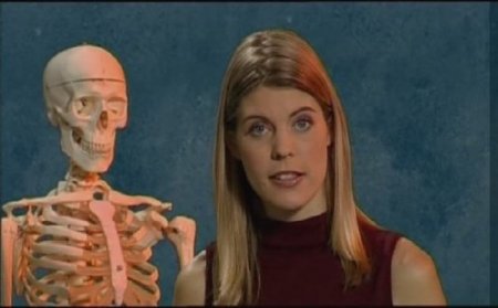 ������� ������������: �������� �������� (����� 1) / The Virtual Body (2008) DVDRip