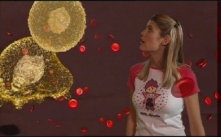 ������� ������������: �������� �������� (����� 1) / The Virtual Body (2008) DVDRip