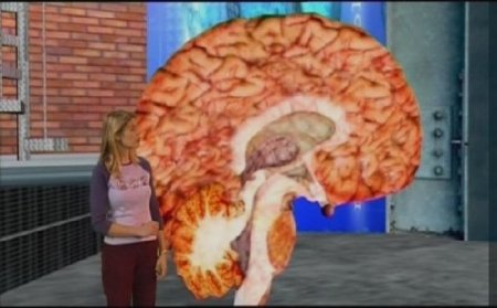 ������� ������������: �������� �������� (����� 1) / The Virtual Body (2008) DVDRip