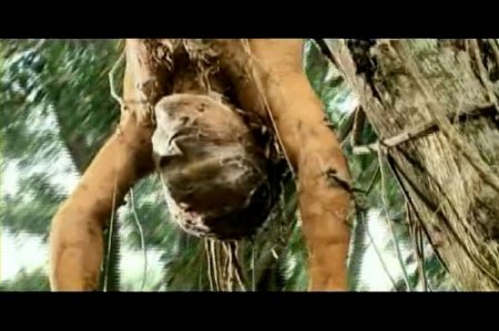 ���������� 3 / Kuntilanak 3 (2008/DVDRip)