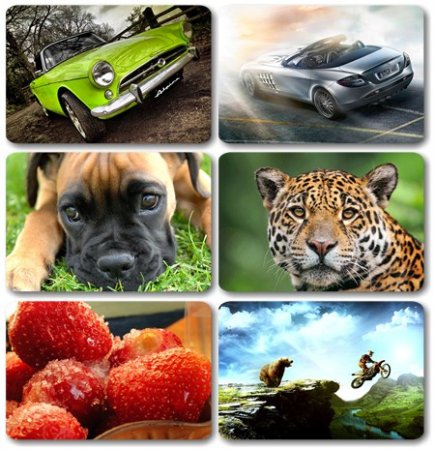 Wallpapers ������ ���� ��� �������� ����� (2011) � 146