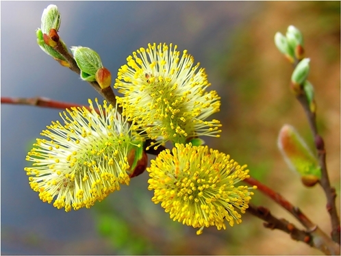 ������� ������������������ �����