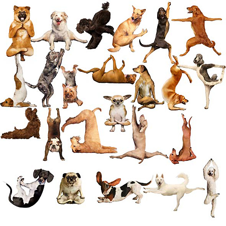 PSD ��������� - �������� ������