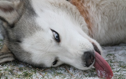 �������� �������� ����� �� ������ �������� ��� �������� �����