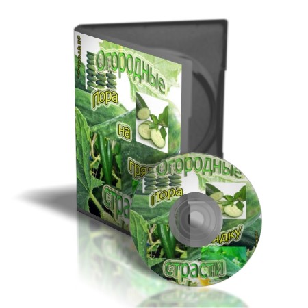 ��������� �������: ���� �� ������   (2011)  SATRip