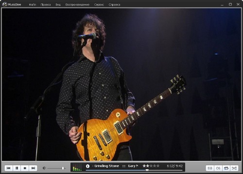 MusicBee 1.2.4176 RC3 (2011)  ML/Rus