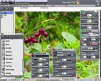 StudioLine Photo Basic v 3.70.33 (2011) Eng