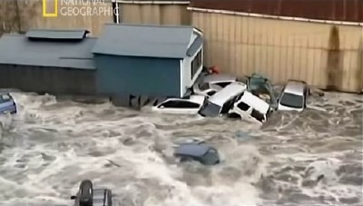 ���������� � ������: ������������� ��������� / Witness: Disaster In Japan (2011) SATRip