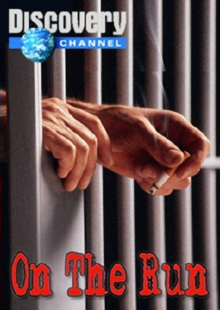 Discovery. . /Discovery.On The Run. King of Cons /2005/ SATRip  