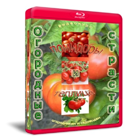 ��������� �������: �������� � �������   (2011)  SATRip