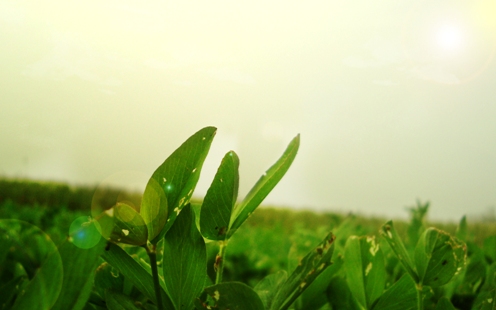 ���������� �������� ������� ����� ��� �������� �����