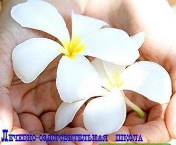 �������-��������������� ����� �.�. �����������