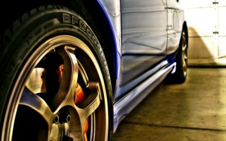 Airena wallapack 298