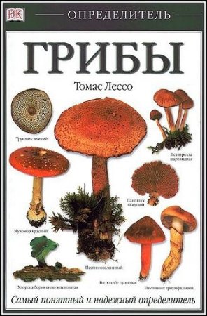 �����. ������������ / ����� �����