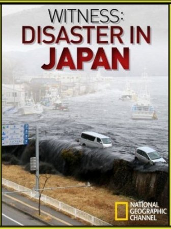   :   / Witness: Disaster In Japan (2011) SATRip