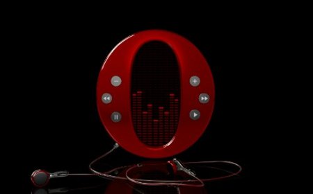 Airena wallapack 311