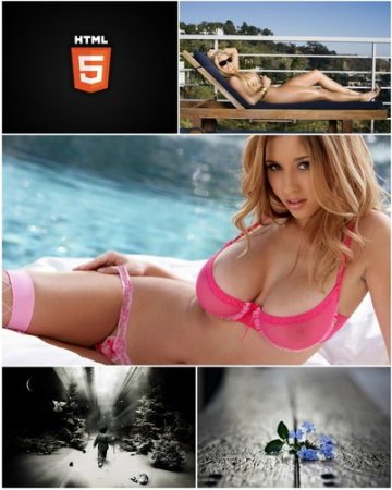 Airena wallapack 314