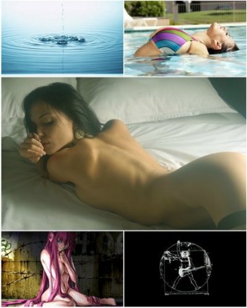 Airena wallapack 316