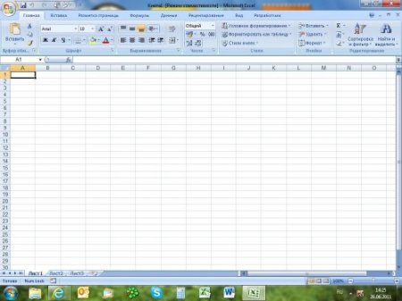 Microsoft Office Professional Plus 2007 SP2 Portable 12.0.6425.1000 [�������]