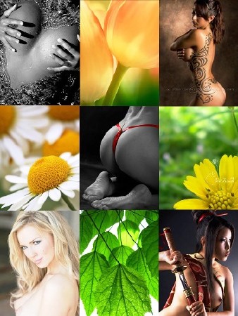 Wallpapers �For the original mobile�