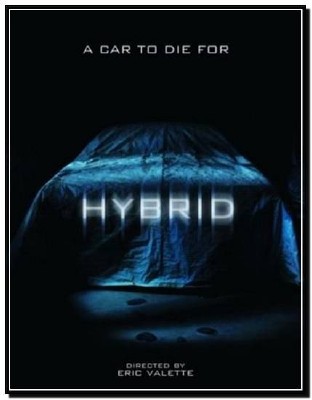  / Hybrid 2010. DVDRip