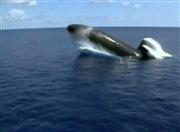 ���������� ��������� / Lost Subs: Disaster (2002) DVDRip