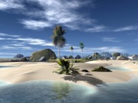 Wallpapers -     528