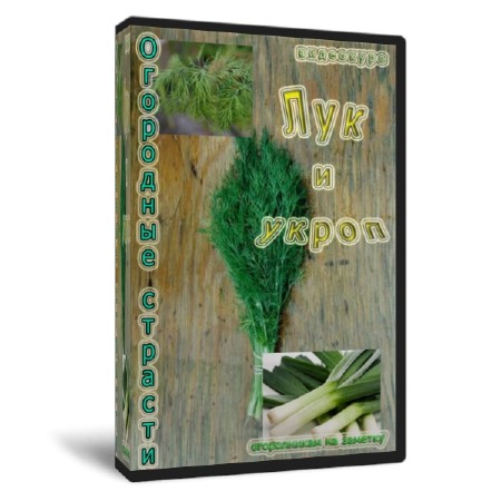 ���������  ��� � �����   (2011)  SATRip