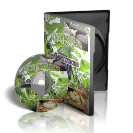 ��������   (2011)  SATRip