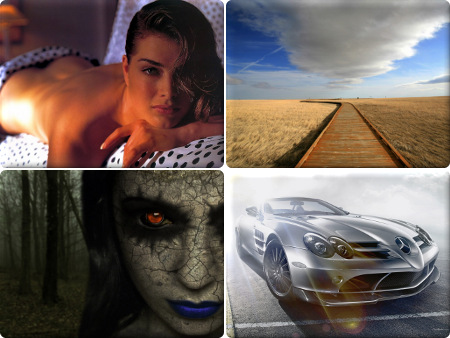 Selected wallpapers -      302