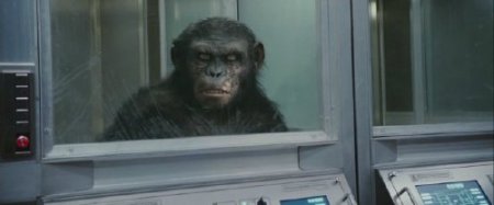 ��������� ������� ������� / Rise of the Planet of the Apes (2011/HDRip/�������)