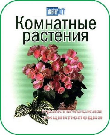 ��������� ��������. ������������ ������������