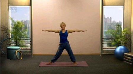 ��������� (2010/DVDRip)