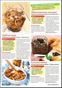 ����. ���������� �3 (2011/ PDF)