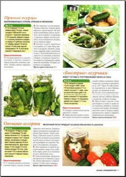 ����. ���������� �3 (2011/ PDF)