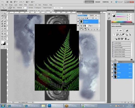 Adobe Photoshop CS5. ������� 1. ��������� ������� ��� ���������� (2011/RUS)