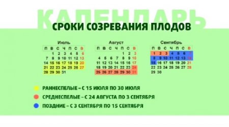 �� � ����������� ������� (2010/DVDRip)