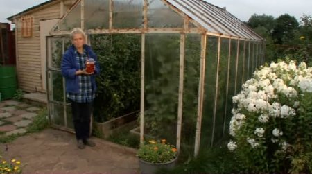 �� � ����������� ������� (2010/DVDRip)