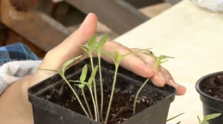 �� � ����������� ������� (2010/DVDRip)