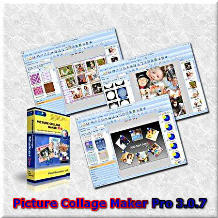 Picture Collage Maker Professional v 3.0.7 build 3499 (2011/Eng)